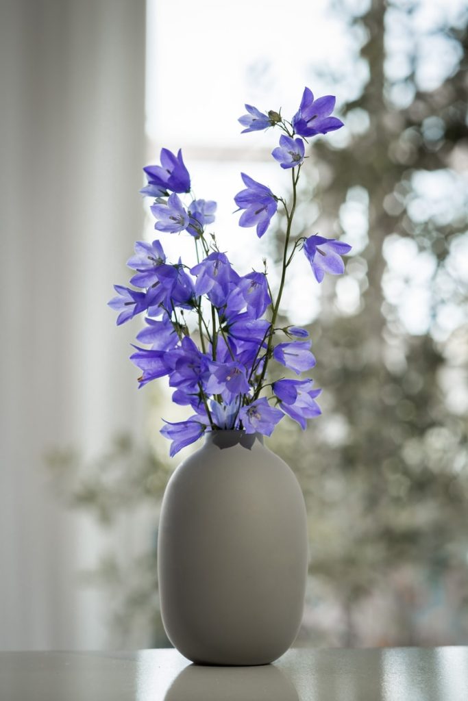 purple and white flower in white vase