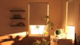 The Best Smart Window Shades, Blinds, and Curtains