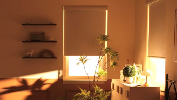 The Best Smart Window Shades, Blinds, and Curtains