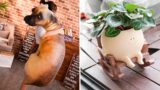 65 Kooky New Things On Amazon That We’re Loving Right Now