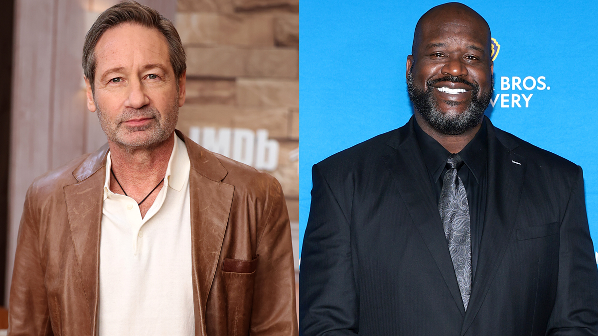 David Duchovny Hoped for Friendship with Shaq After Lakers Courtside Bonding Moment